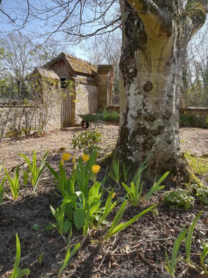 Maison Angulus Ridet Montcresson Esterno foto